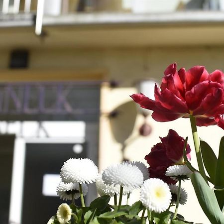 فندق Haus Sonneck Marburg المظهر الخارجي الصورة